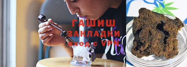 тгк Ельня