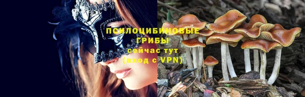 не бодяженный Заводоуковск