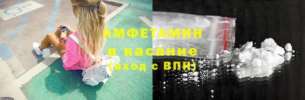 ГАЛЛЮЦИНОГЕННЫЕ ГРИБЫ Семёнов