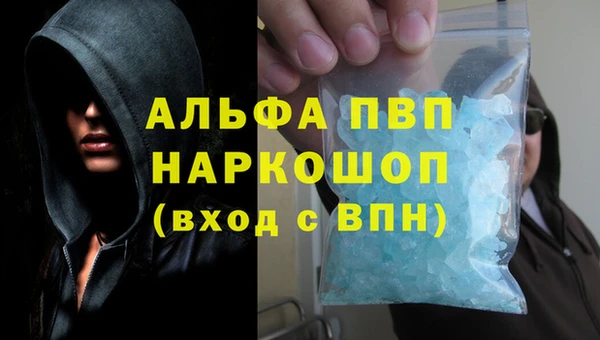 спиды Елизово
