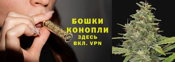 тгк Ельня