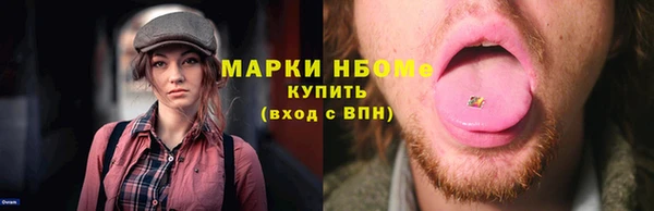 тгк Ельня