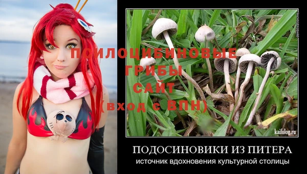 2c-b Заволжье
