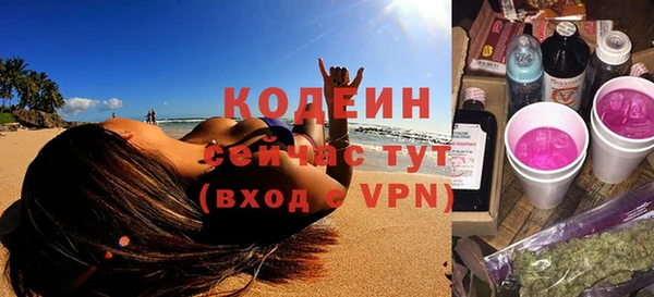 не бодяженный Заводоуковск