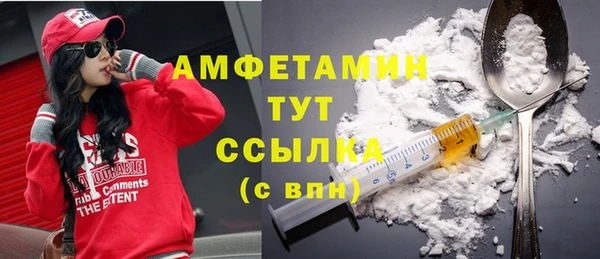 тгк Ельня
