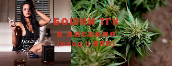 не бодяженный Заводоуковск