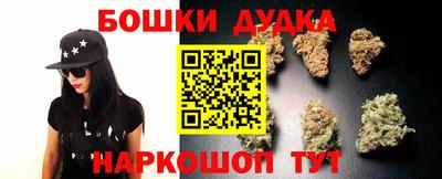 гидропоника Кингисепп