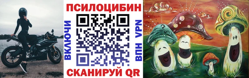 цена   Свободный  блэк спрут зеркало  Псилоцибиновые грибы мухоморы 