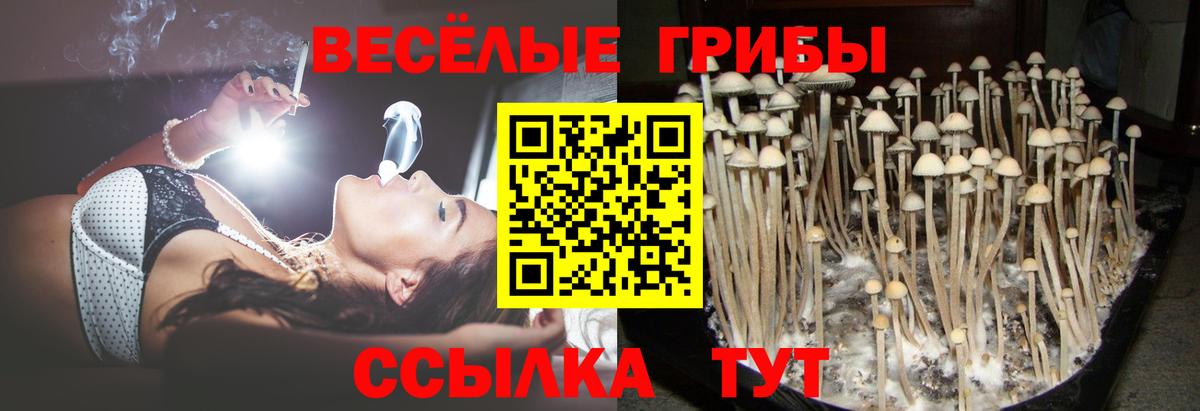 Экстази  Кокаин  Alpha-PVP СК   Свободный  АМФЕТАМИН кристаллы  Вход с VPN  МЕФ кристаллы  Гашиш  КЕТАМИН 