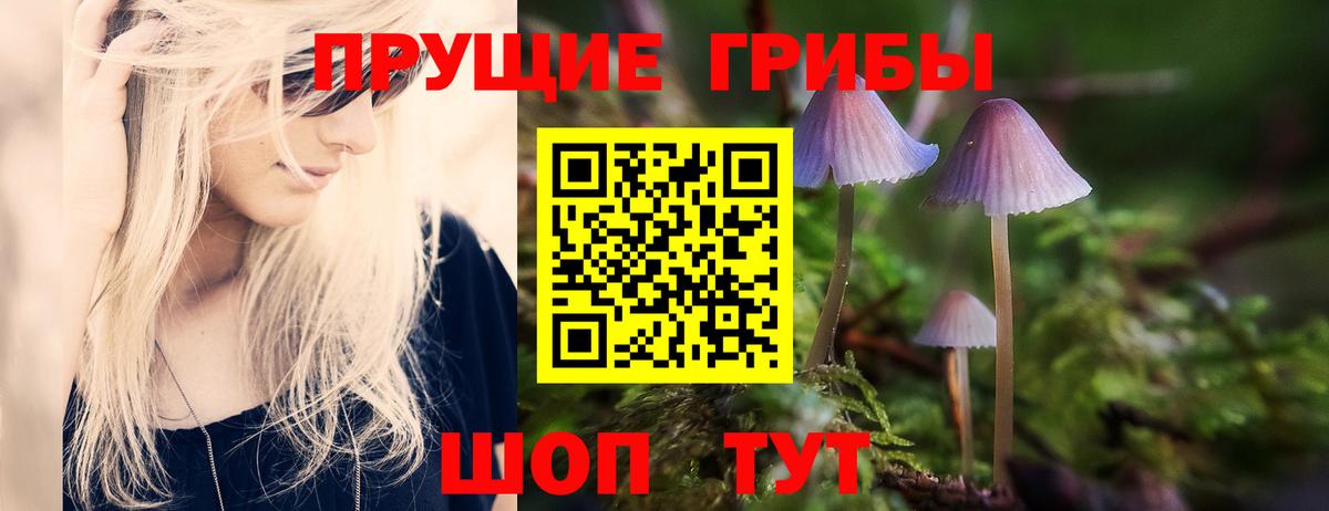 Псилоцибиновые грибы Psilocybe  Галлюциногенные грибы прущие грибы  Вход с VPN  где найти   Свободный 